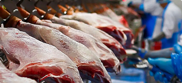 Свободный выпас стада