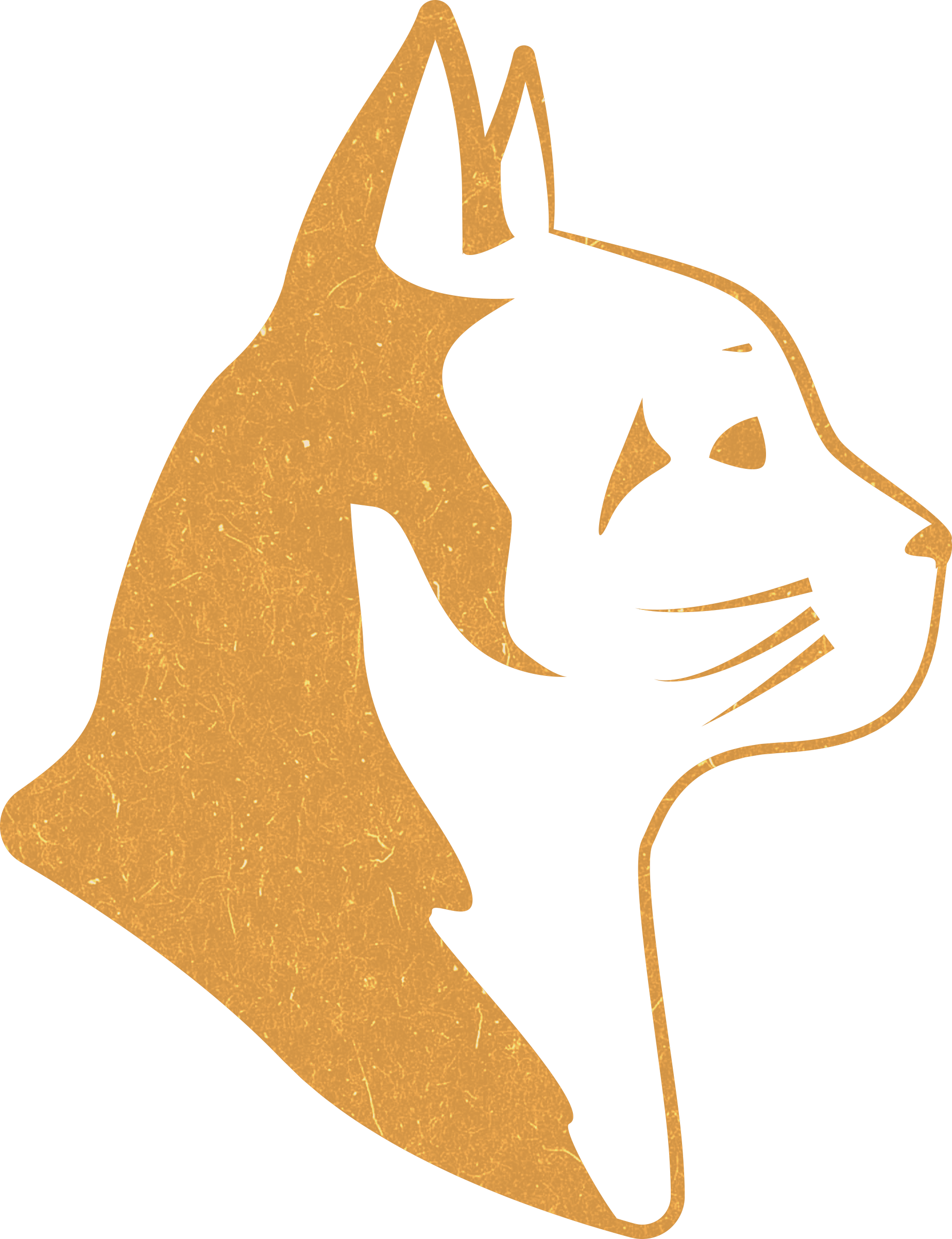 Кошачий корм