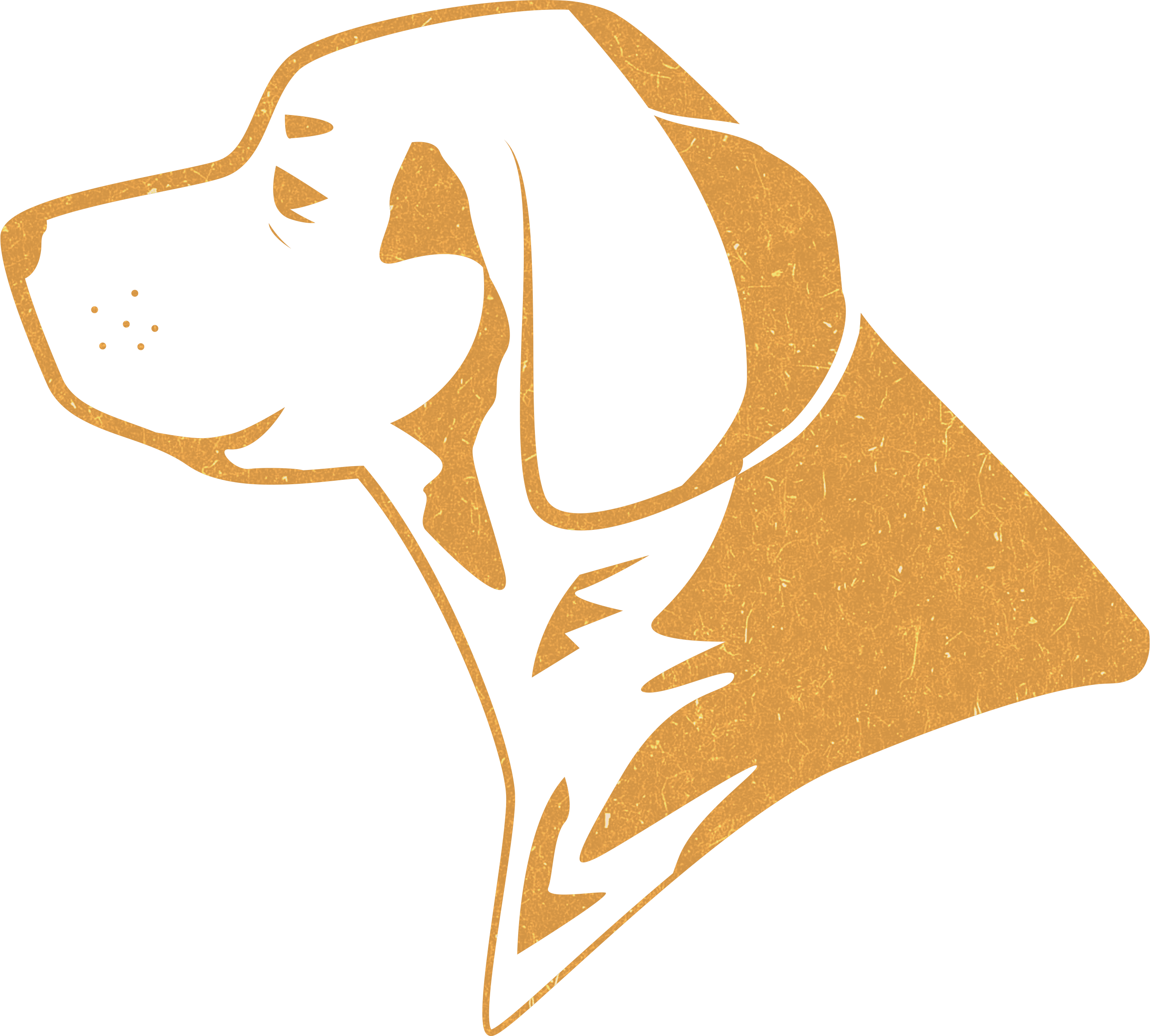 Собачий корм